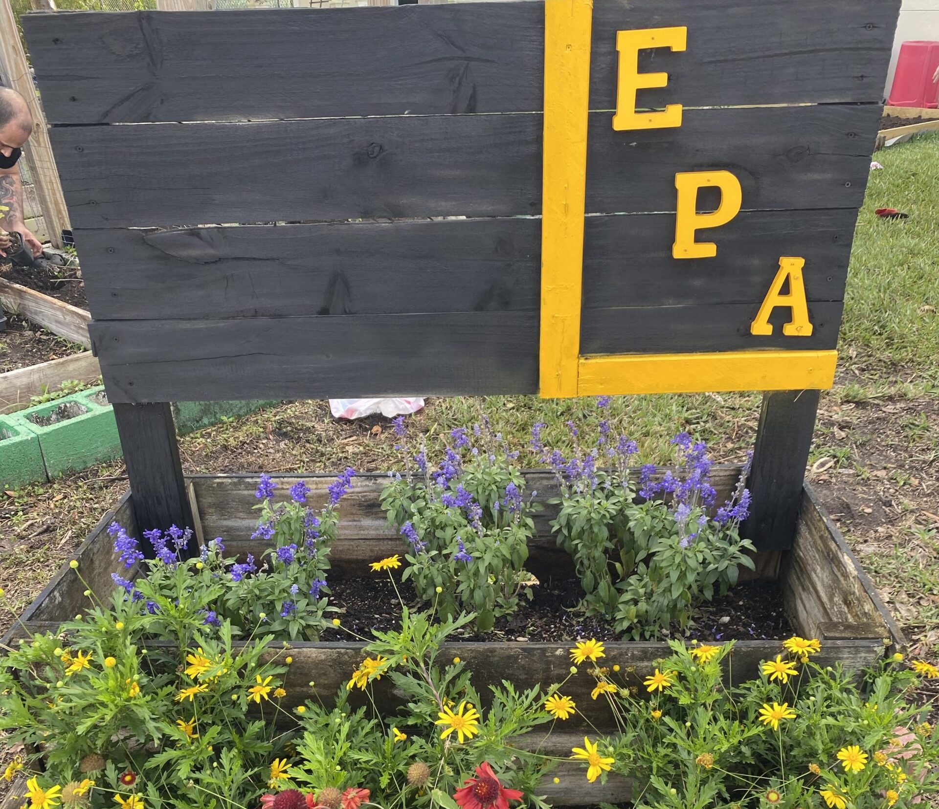 Image: A sign reading EPA surrounded by blue and yellow wildflowers
