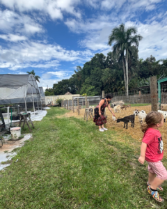 Image: A mother and son enjoy a visit at a local farm