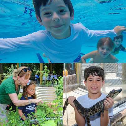 Image: Children participate in various activities at Alexander Montessori Camp