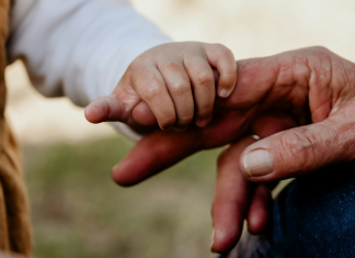 Image: A toddler's hand holding onto their grandparent's hand