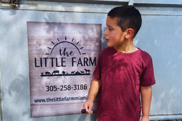 Image: A young child stands next to a sign at The Little Farm