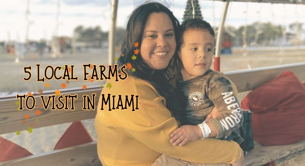 Image: A mother and son enjoy a hayride at a local farm in Miami