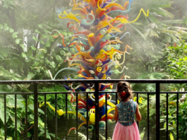 Image: A young child enjoys the butterfly garden at Fairchild Tropical Botanic Garden