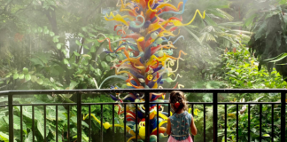 Image: A young child enjoys the butterfly garden at Fairchild Tropical Botanic Garden