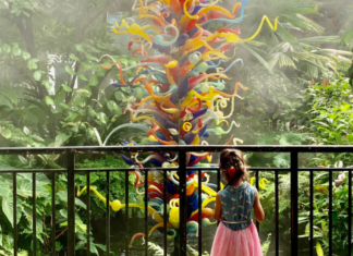 Image: A young child enjoys the butterfly garden at Fairchild Tropical Botanic Garden