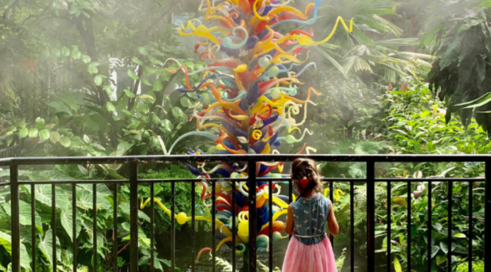 Image: A young child enjoys the butterfly garden at Fairchild Tropical Botanic Garden