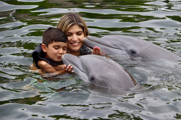 Image: A mother and son enjoy swimming with dolphins