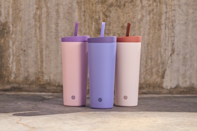 blenderbottle summer essentials - Holly Bennett