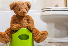 Image: A teddy bear sitting on a toddler potty