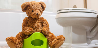 Image: A teddy bear sitting on a toddler potty