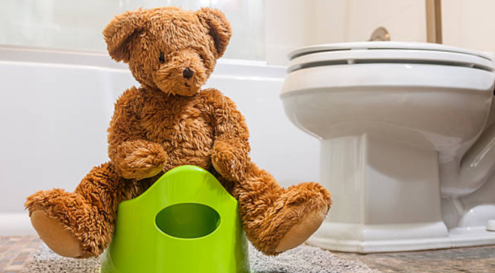 Potty Training Expectations And Survival (Success) Tips Image: A teddy bear sitting on a toddler potty