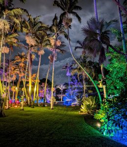 Image: Night Garden event at Fairchild Tropical Botanic Garden