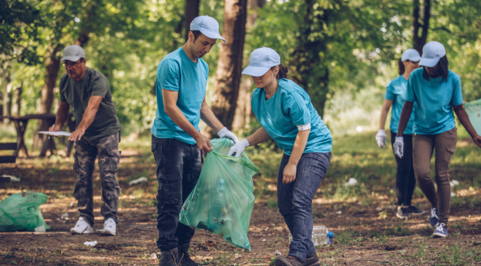 Image: Volunteers clean up trash