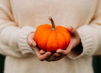 Image: A child holding a small pumpkin