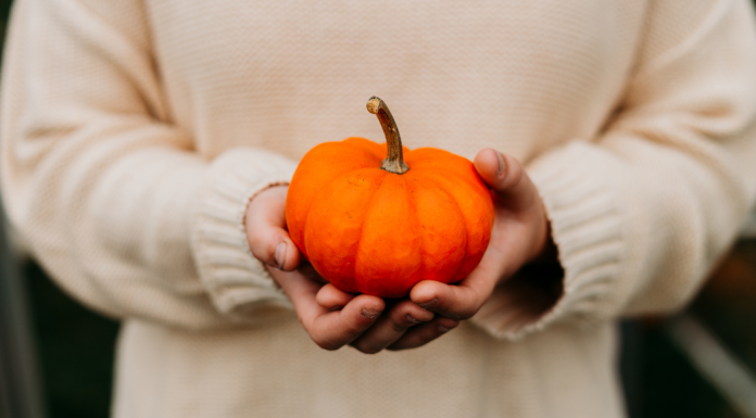 Image: A child holding a small pumpkin