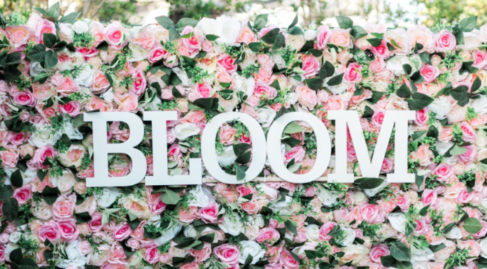 Bloom Event Recap 2024