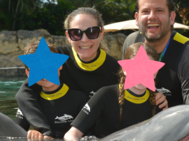 Image: Ilana's family enjoys a swim with a dolphin at Discovery Cove Orlando