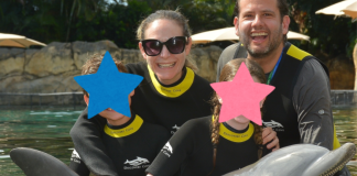 Image: Ilana's family enjoys a swim with a dolphin at Discovery Cove Orlando