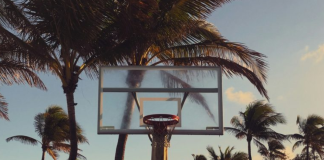 4 Ways to Empower Our Children to Dream Image: An outdoor basketball hoop with palms trees in the background