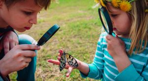 Image: Two kids use magnifying glasses to study a butterfly