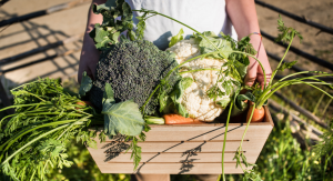 Image: A child holds a box of fresh vegetables and greens