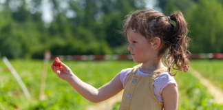 Oral Health: Boost It Naturally With These Types of Foods | Dr. Bob Image: A girl holds a strawberry she just picked from a field