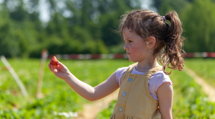Oral Health: Boost It Naturally With These Types of Foods | Dr. Bob Image: A girl holds a strawberry she just picked from a field