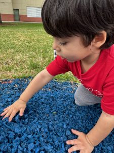 Image: A little boy participates in a community service project