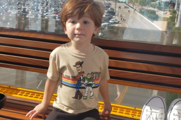 Image: A little boy on Disney's Skyliner, one of many Disney Freebies