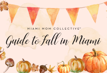 Fall Events & Activities Guide: Things To Do in Miami This Fall