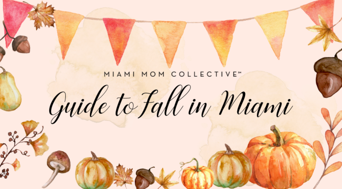 Fall Events & Activities Guide: Things To Do in Miami This Fall