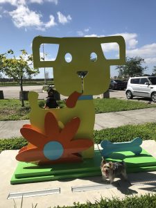Image: Two dogs enjoying themselves at a Miami dog park