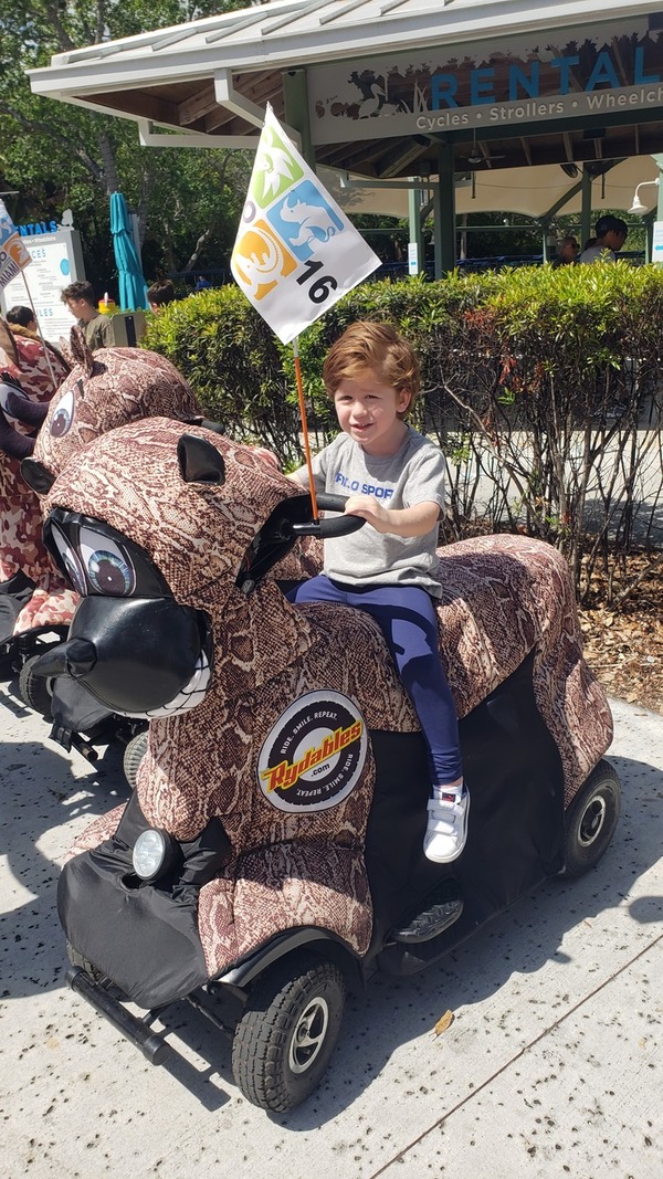 Five Different Activities to Try This Summer with Kids - Sandra Jacquemin