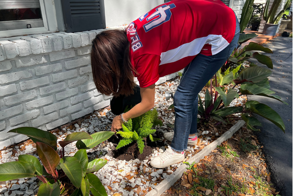 Image: A woman watering plants