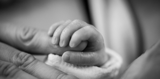 A premature infant holds onto a parent's finger