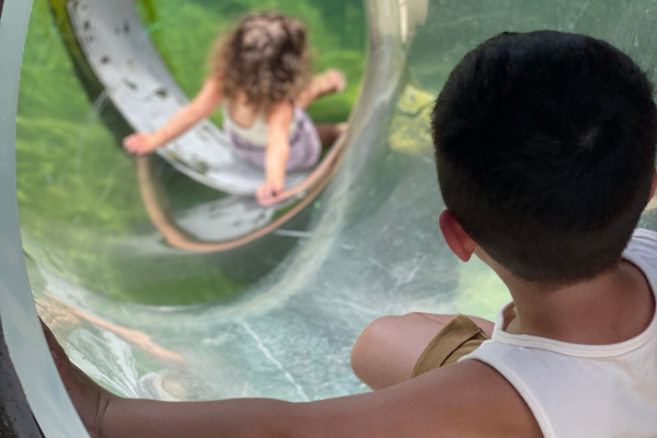 A brother and sister enjoying a sensory experience at the zoo