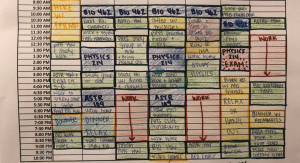 A daily and weekly schedule