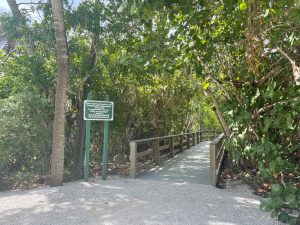 A tree-lined boardwalk 