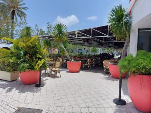 Cafe Creme in NoMi