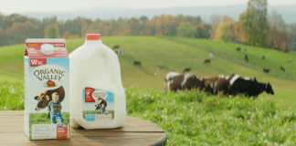 A carton and gallon jug of Organic Valley milk, with a pasture of cows in the background