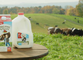 Organic Valley: Happy Cows, Better Milk, Healthy Kids A carton and gallon jug of Organic Valley milk, with a pasture of cows in the background