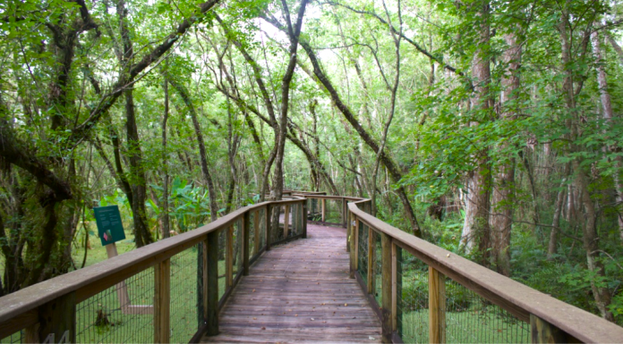 Field Trips: 3 Nature Places to Explore With Your Kids A path winds through a wooded area