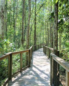 The boardwalk at the Ah Tah Thi Ki Museum