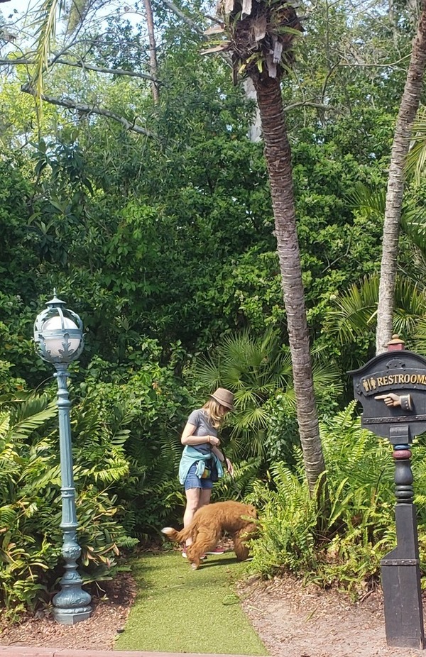 DISNEY HACKS, TIPS AND IDEAS FOR SUMMER. One of several relief areas designated for support animals