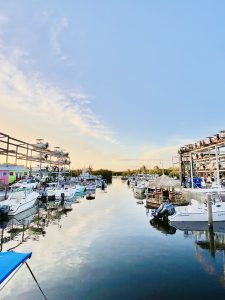 A view of the marina behind Square Grouper