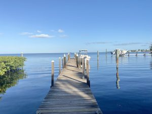 A dock leading out to a boat on the water