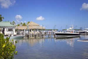 A view of the marina