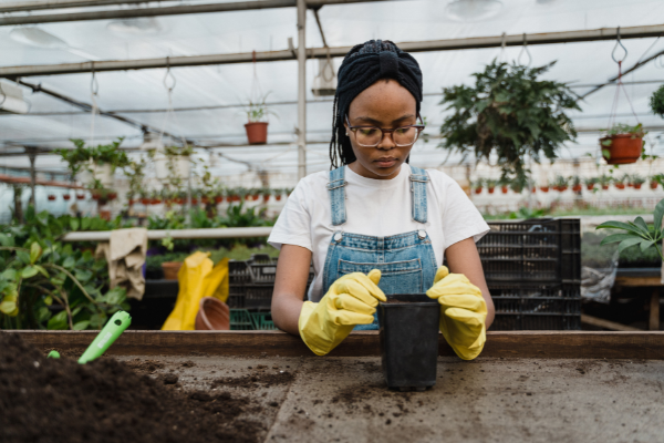 A woman prepares a small pot for planting
