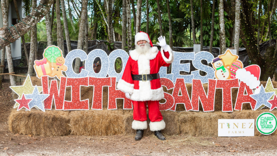 4th Annual Cookies with Santa at Tinez Farms | Event Recap Miami Mom Collective Cookies With Santa 2021 Tinez Farms