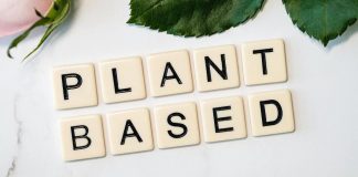 Image: Letter tiles that spell "Plant Based" (Going Vegan: It's Not As Difficult As You Think Sandra Jacquemin Contributor Miami Mom Collective)